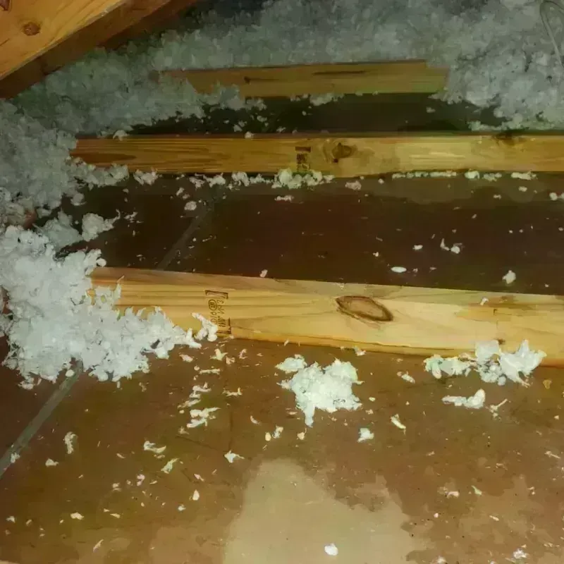 Attic Water Damage in Aragon, GA